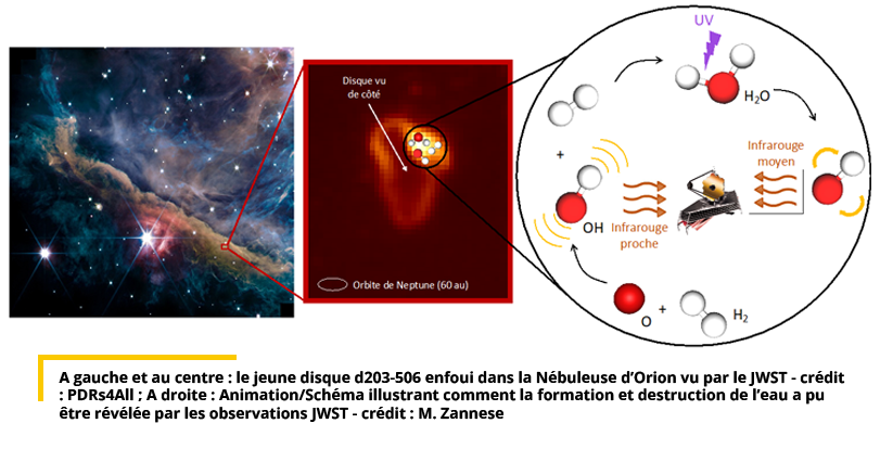 À gauche et au centre : le jeune disque d203-506 enfoui dans la Nébuleuse d'Orion vu par le JWST - crédit : PDRs4All ; À droite : Animation / Schéma illustrant comment la formation et la destruction de l'eau a pu être révélée par les observations JWST - c