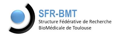 logo_SFR-BMT
