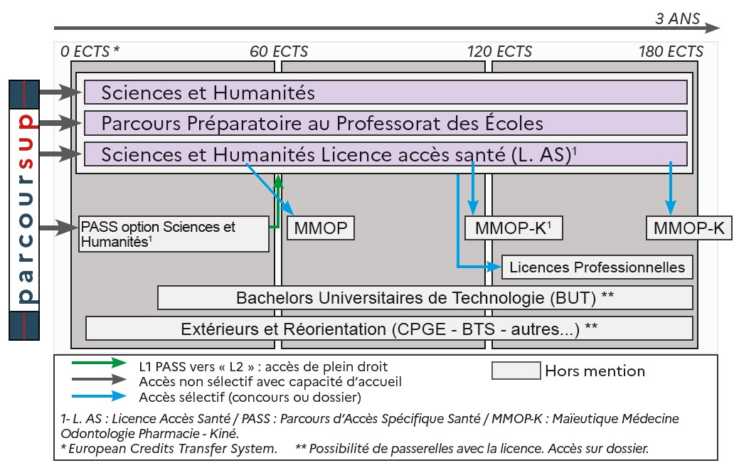 Schema sciences et humanite