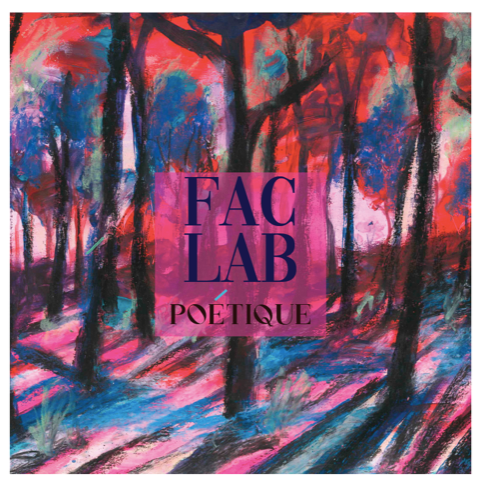FacLabPoetique-IllustrationElisabethLedoux